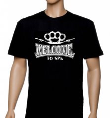 Футболка  "Welcome to SPb"
