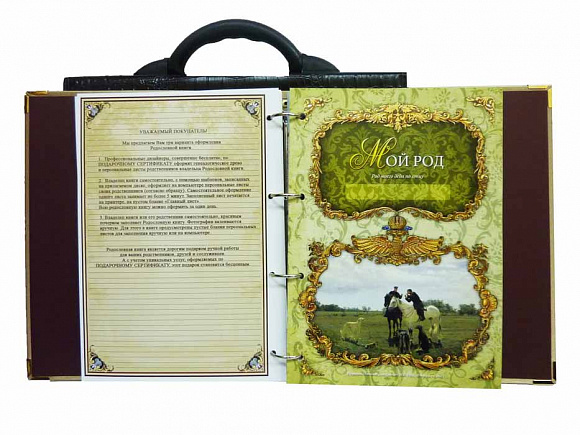 Родословная книга "Классическая" в портфеле