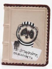 Обложка автодокументы "Не штрафуйте", енот полосатый