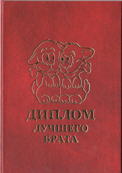 Диплом лучшего брата