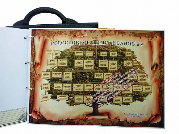 Родословная книга "Классическая" в портфеле