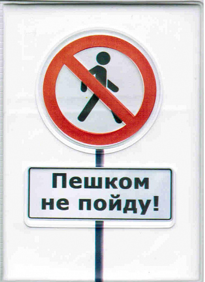 Обложка автодок. "Пешком не пойду"