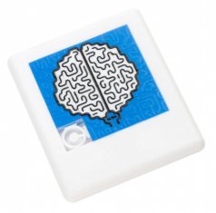 Головоломка "Собери мозги"