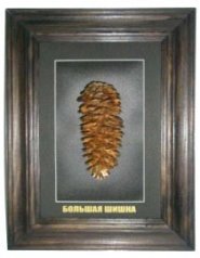 Сувенир "Большая шишка"