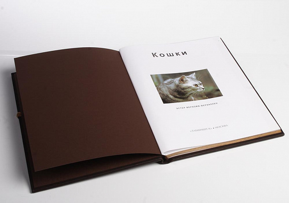 Книга кож переплет "Кошки"
