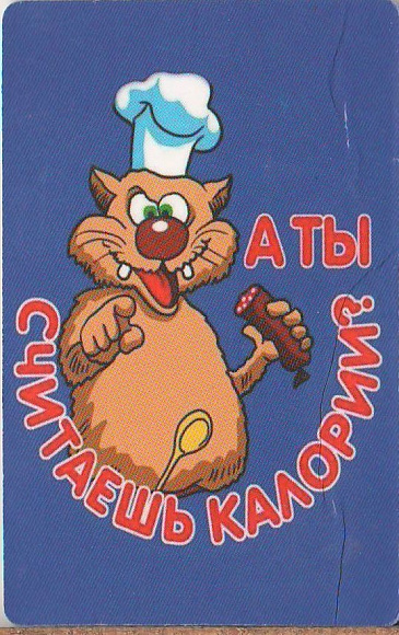 Магнит "А ты считаешь калории?"